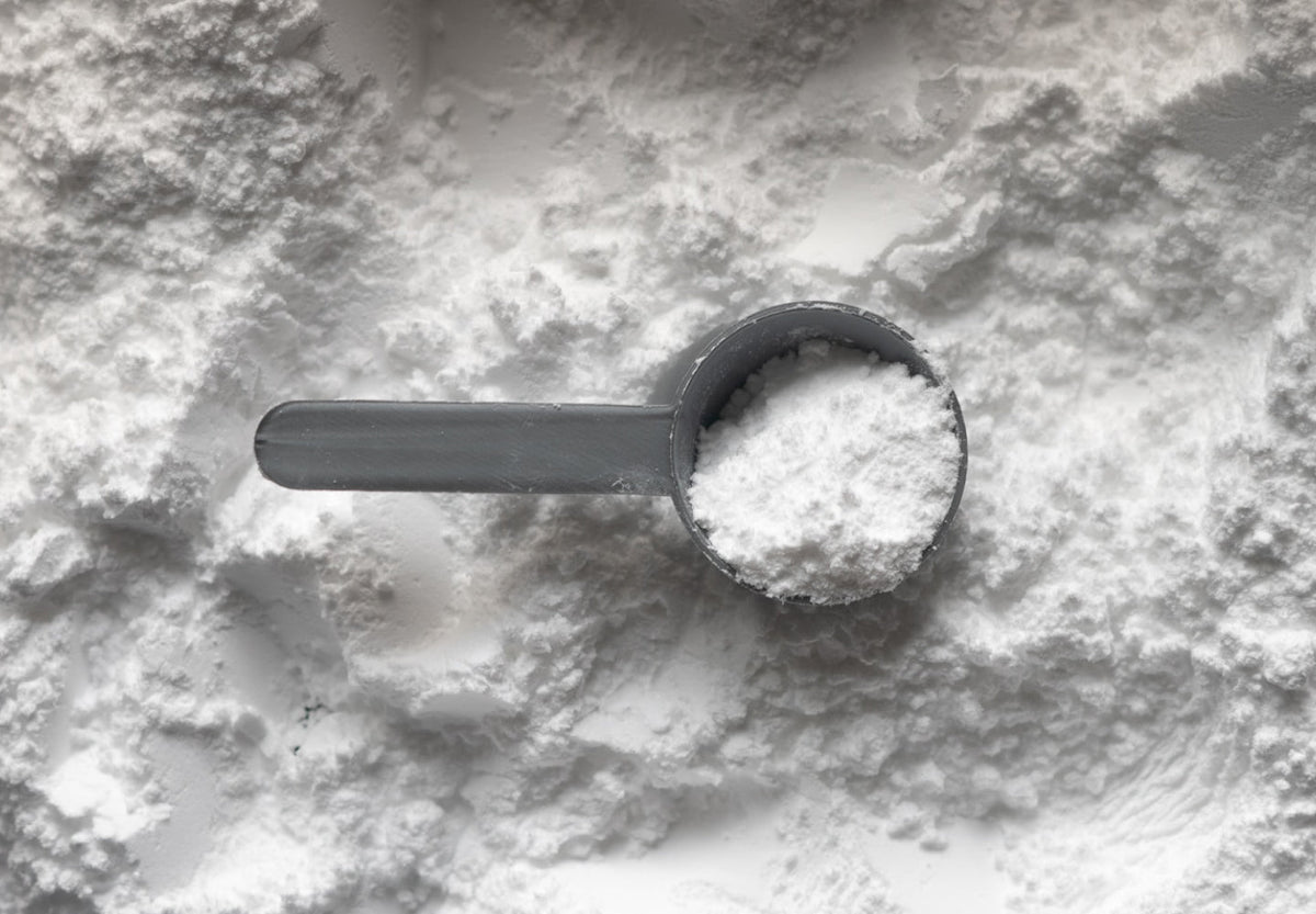 Qu’est-ce que la créatine et pourquoi en parle-t-on autant