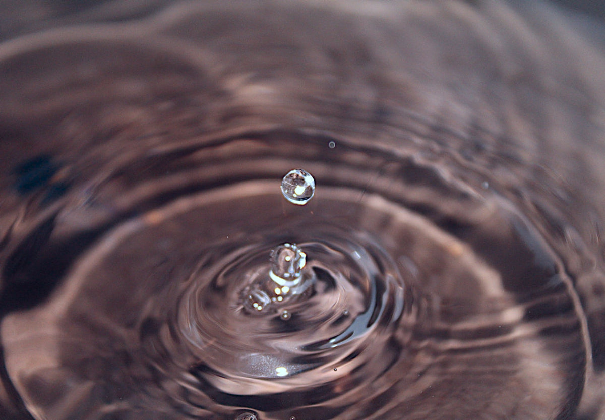 Créatine et rétention d’eau : comprendre le phénomène