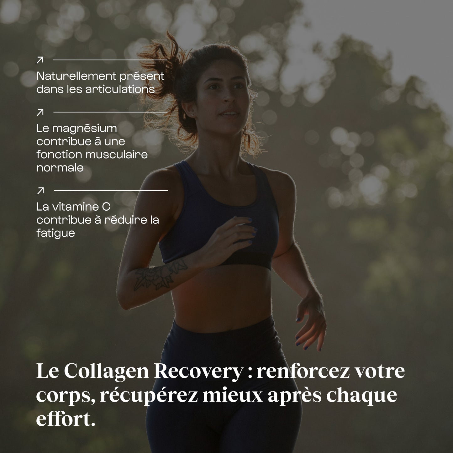 Collagen recovery en poudre
