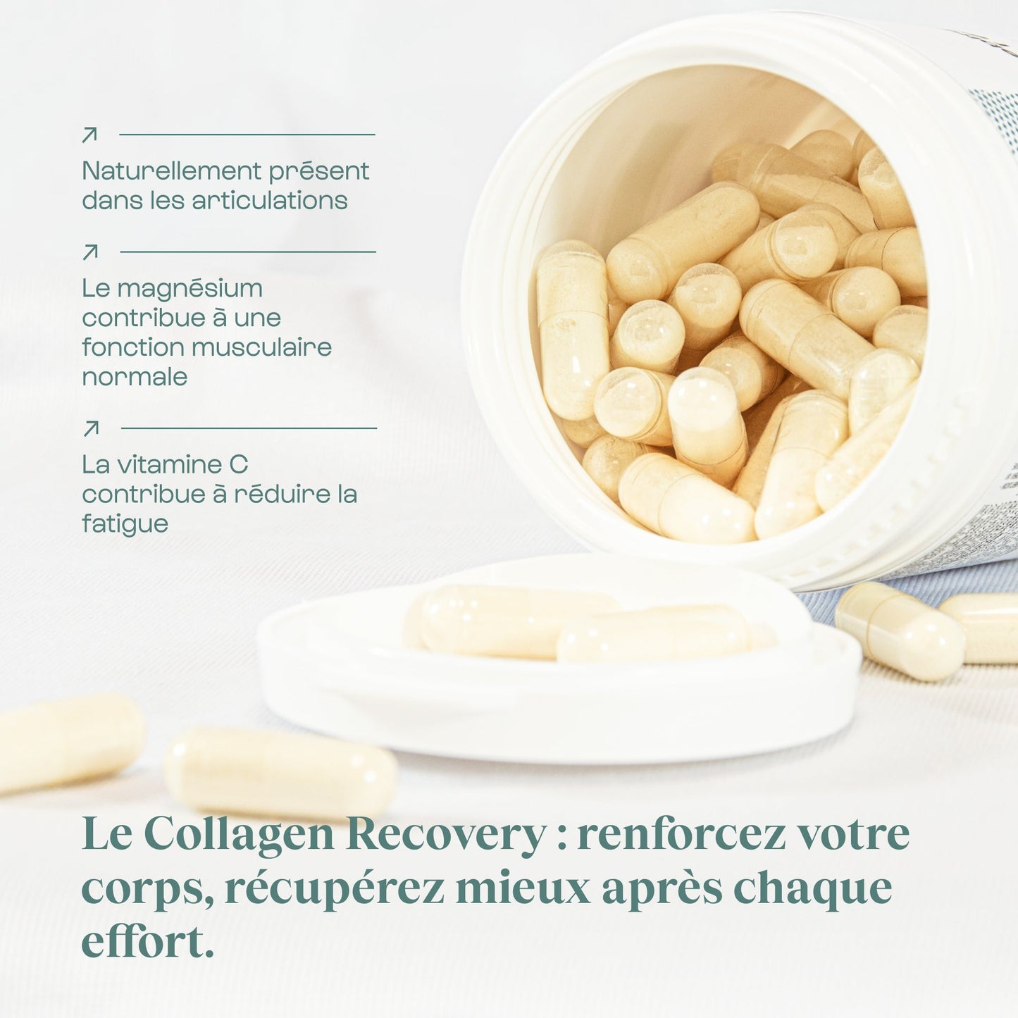 Collagen recovery en gélules