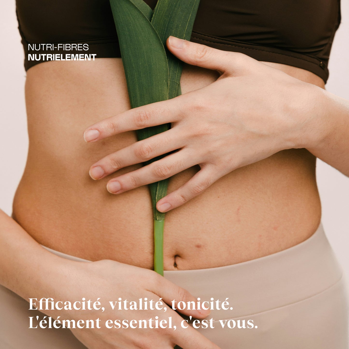 Nutrifibres en poudre