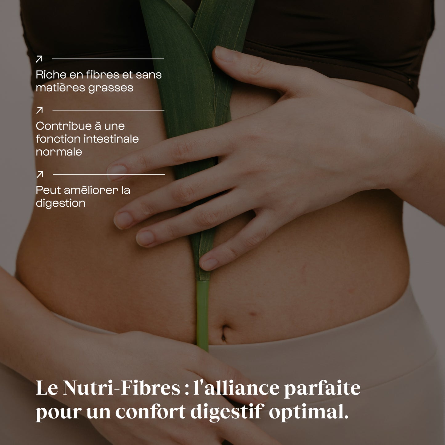 Nutrifibres en poudre
