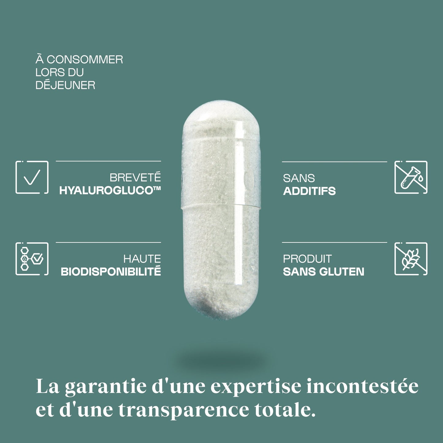 Glucosamine (N-Acetylglucosamine) Hyalurogluco™ en gélules