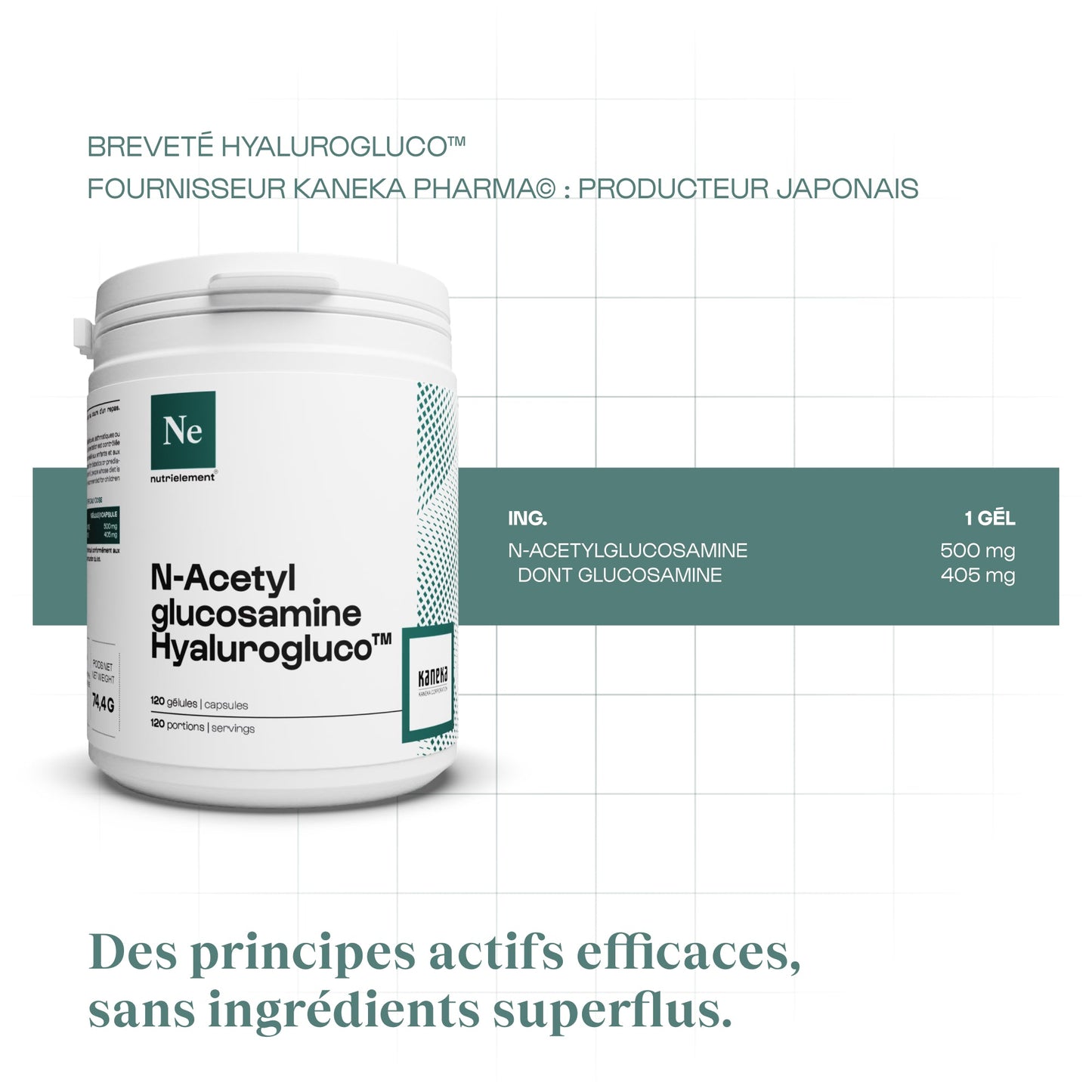 Glucosamine (N-Acetylglucosamine) Hyalurogluco™ en gélules