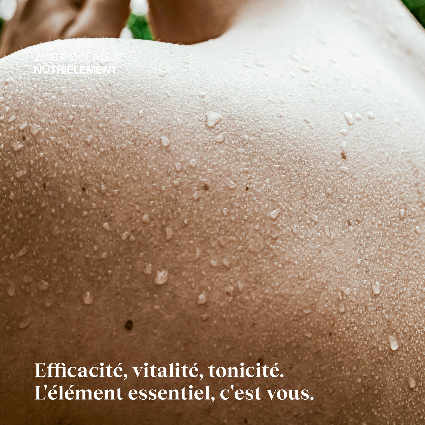 Focus Sommeil - ZMB Pidolates