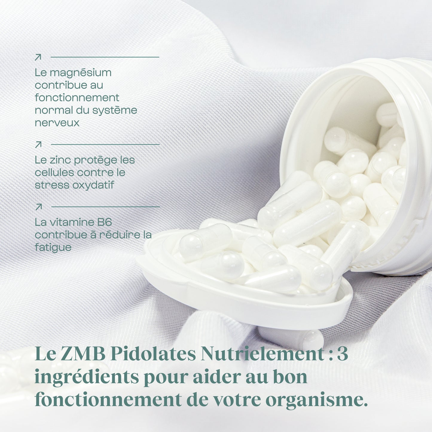 Focus Sommeil - ZMB Pidolates