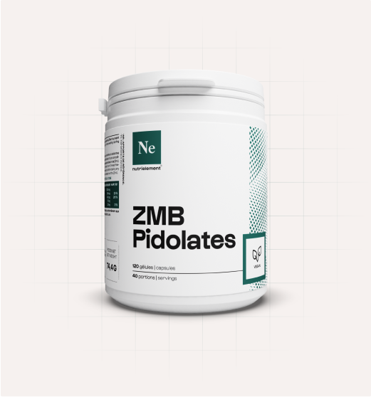 pot zmb pidolates gelules